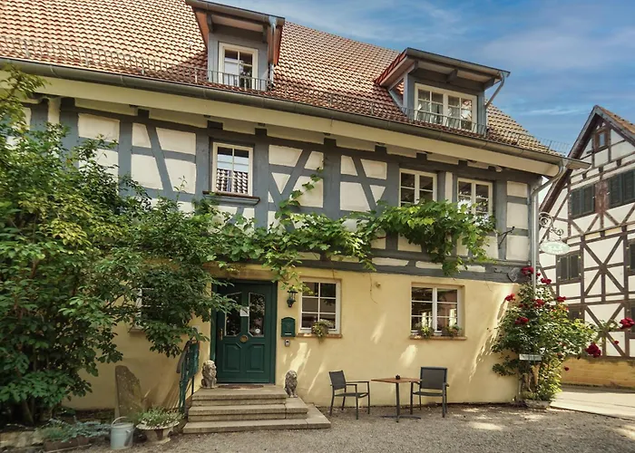 فندق مبيت وإفطار Stevenson House 3*